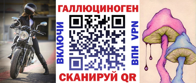 Галлюциногенные грибы Psilocybe  Сельцо 