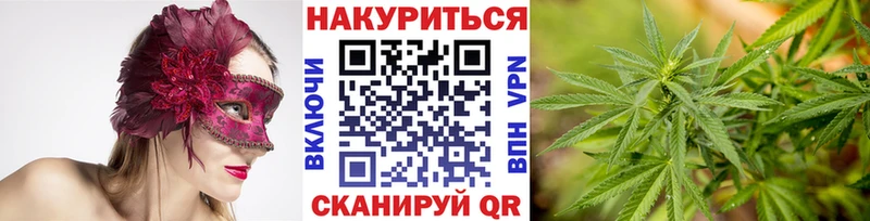 МАРИХУАНА конопля  Сельцо 